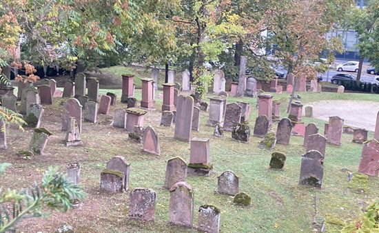Der neue Friedhof - im Hintergrund die Eibeneinfassung